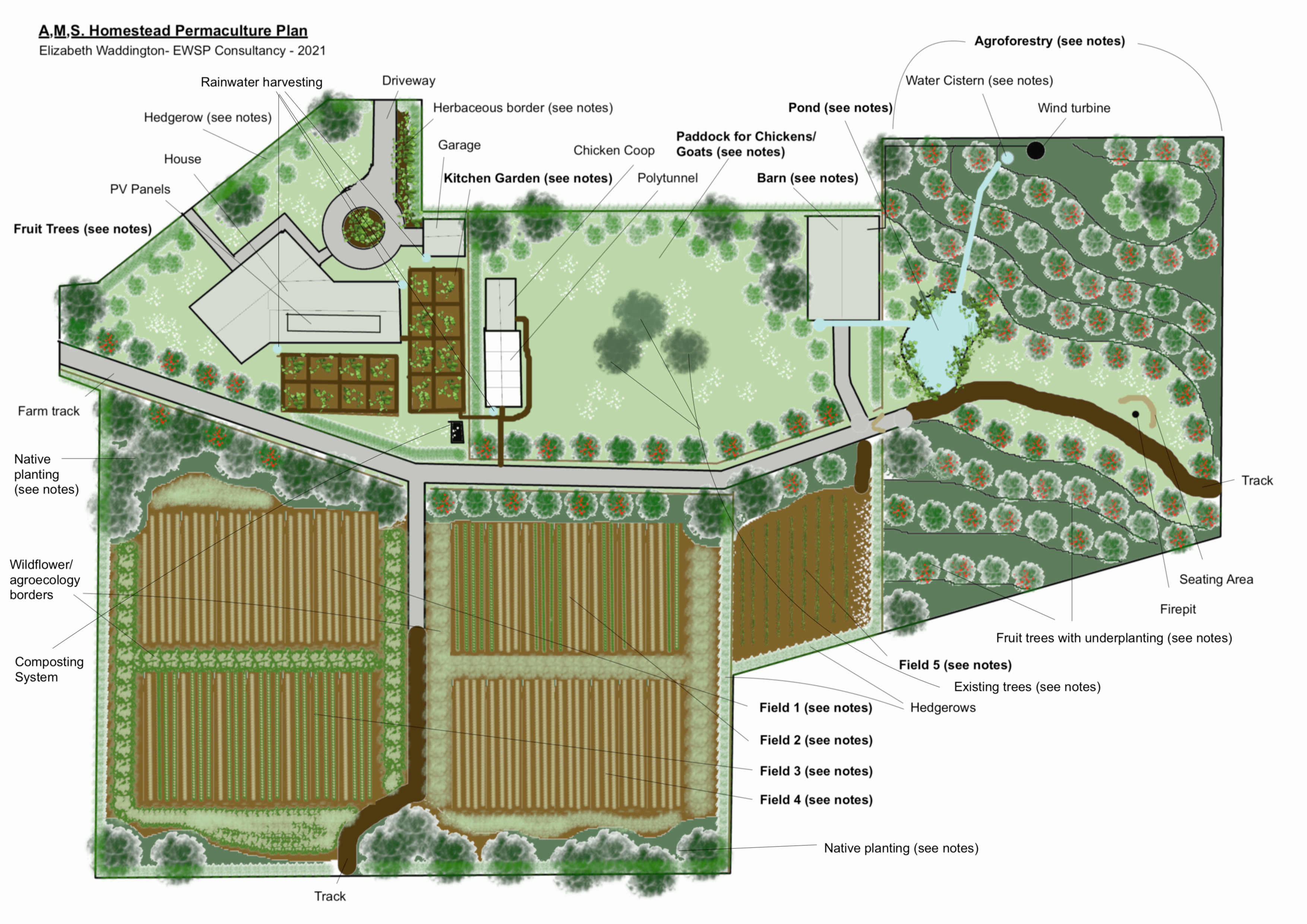Case Study: Simple Homestead Permaculture Design EWSP Consultancy