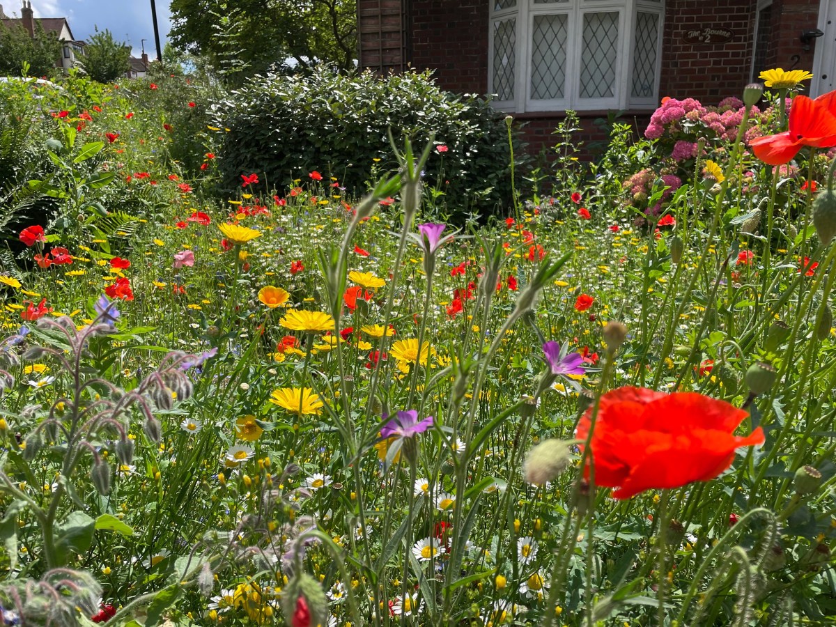 Rewilding On A Range of&nbsp;Scales