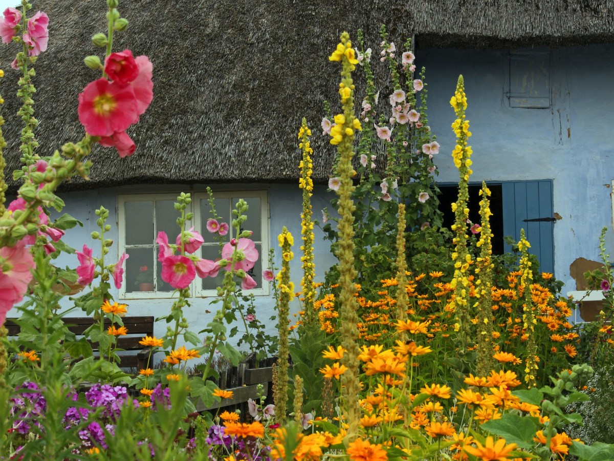 Updating Traditional Cottage Garden Style for Your Specific&nbsp;Location