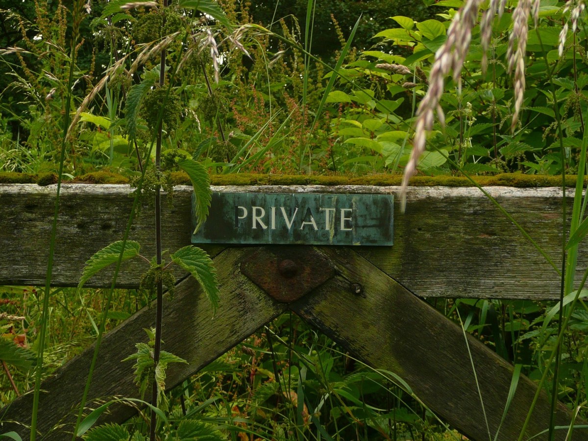 Land Ownership and Land&nbsp;Access