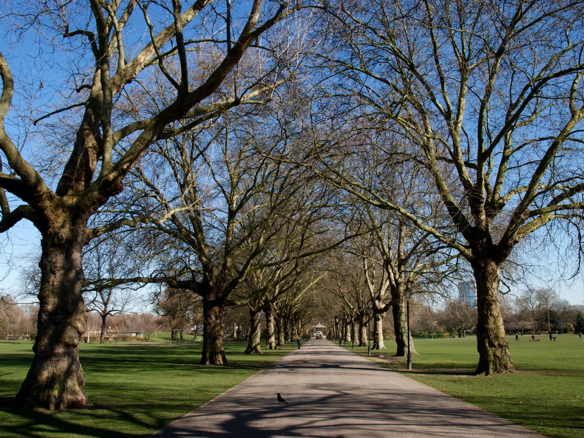 Blending Human Requirements and Nature’s&nbsp;Needs