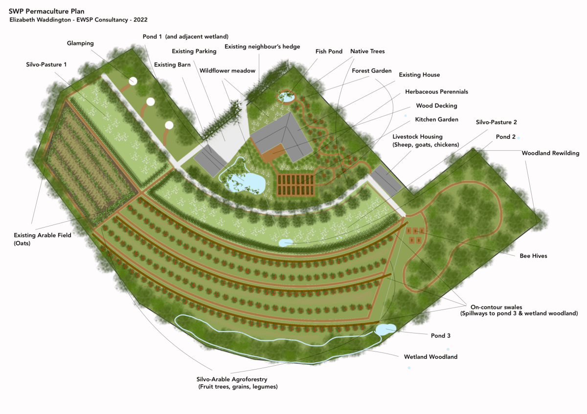 Case Study: Scotland&nbsp;Agroforestry
