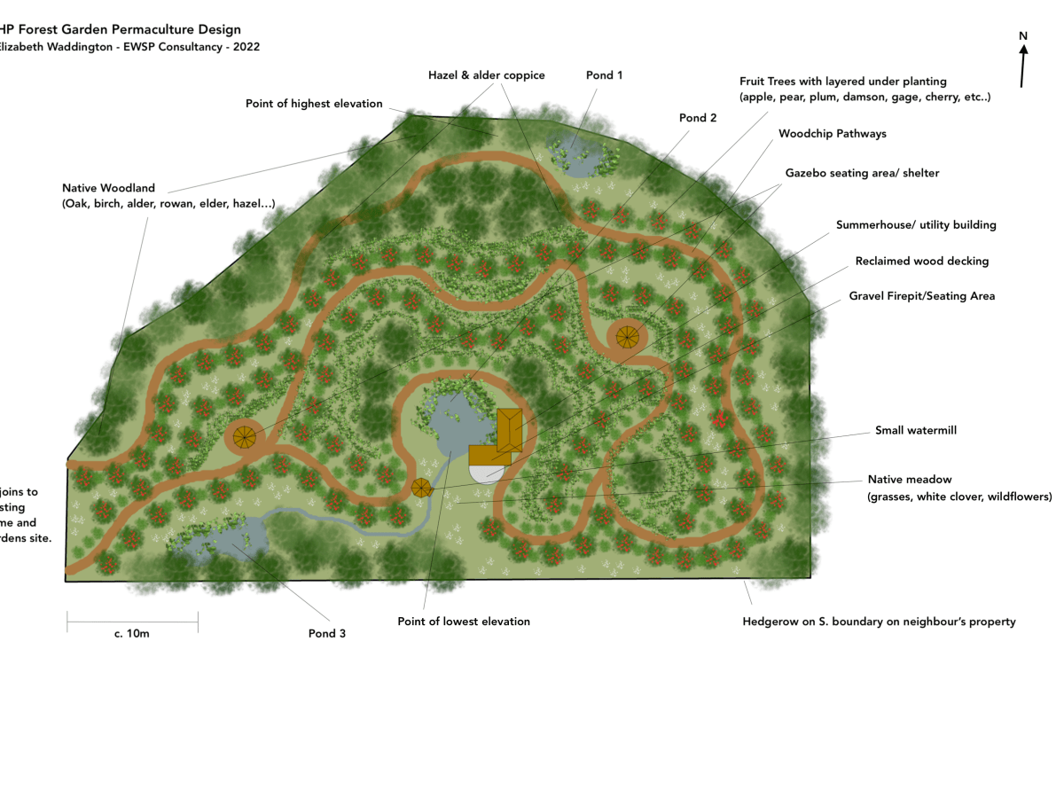 Case Study: Scottish Forest&nbsp;Garden