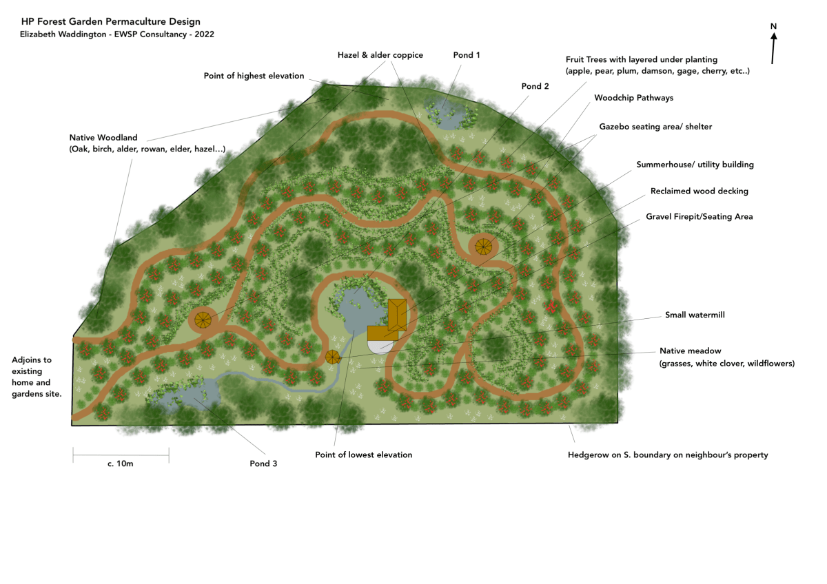 Case Study: Scottish Forest&nbsp;Garden