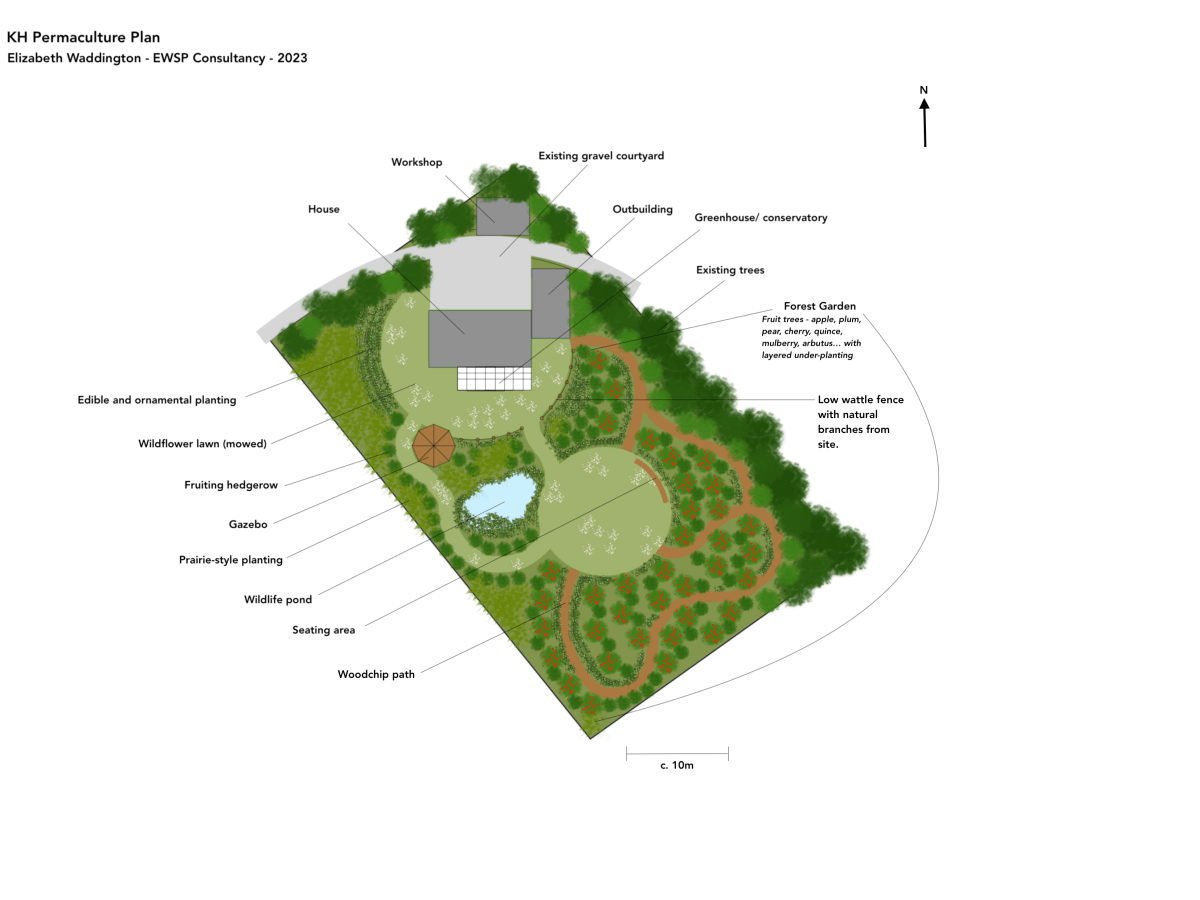 Case Study: Tranquil Meditation&nbsp;Garden