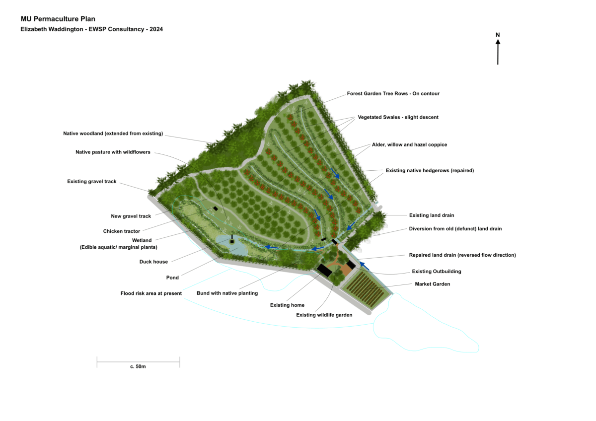 Case Study: Scotland Permaculture Design for Flooding&nbsp;Mitigation
