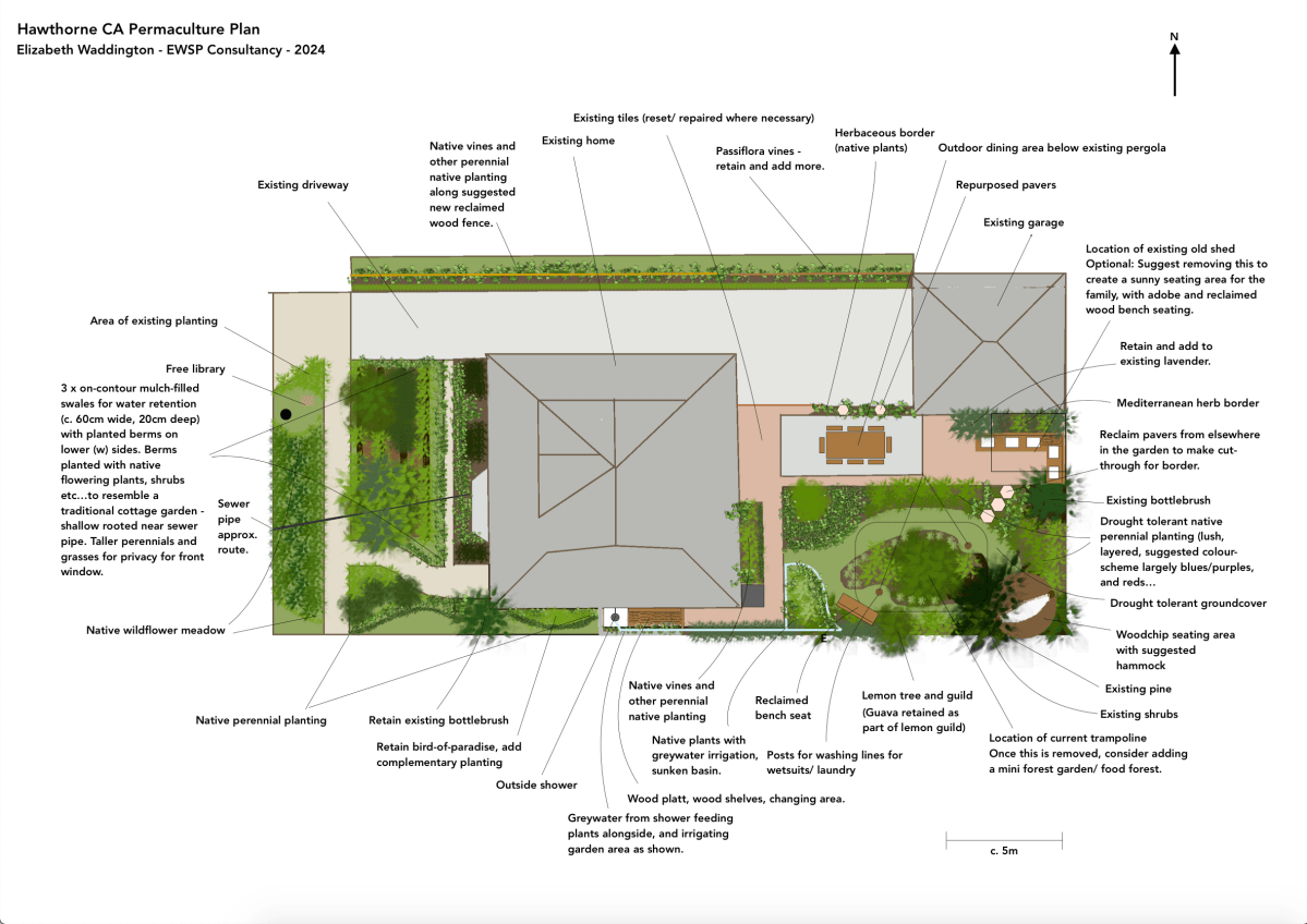Native Plant Family Garden Design in Hawthorne,&nbsp;California