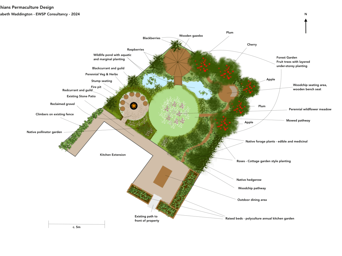 Permaculture Design for a Wildlife-Friendly Scottish&nbsp;Garden