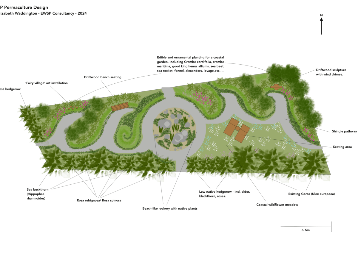 Coastal Foraging Garden Design: Balancing Aesthetics and Edible&nbsp;Yields