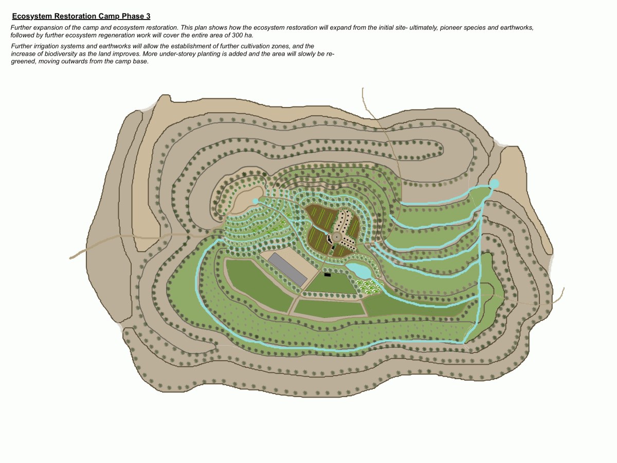 Trees and their Roles in Permaculture&nbsp;Designs