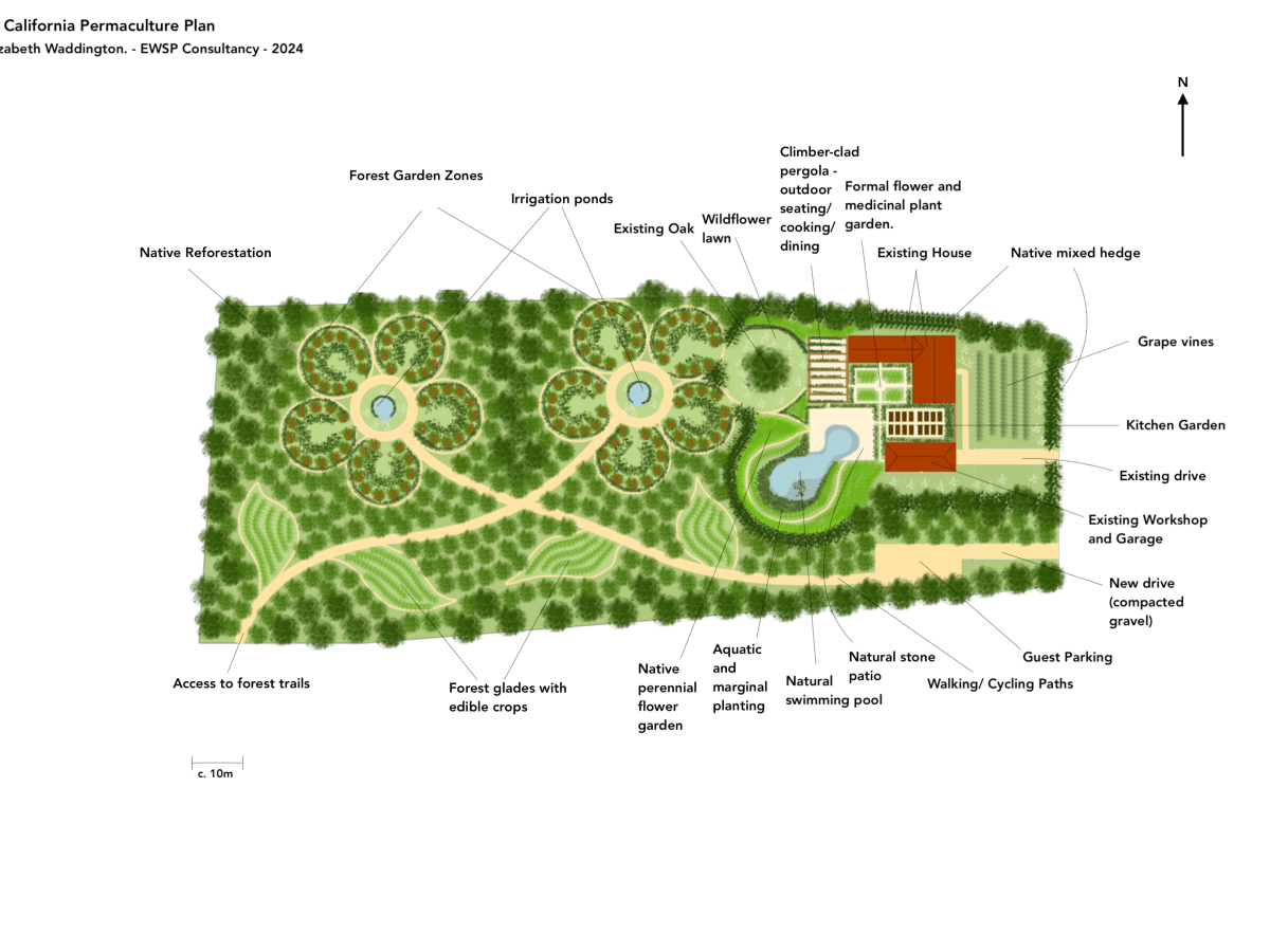 Regenerating Native Oak Woodland: Holistic Permaculture&nbsp;Design