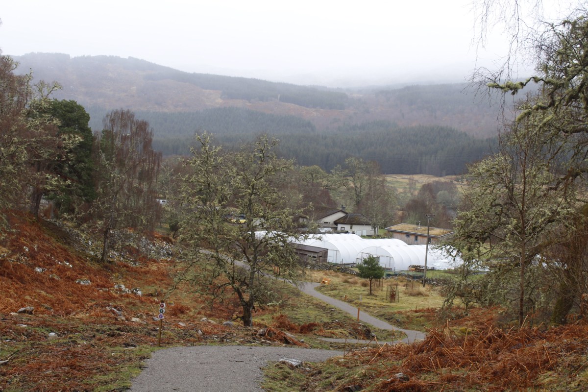 Ecosystem Restoration – Hope for a Damaged&nbsp;Planet